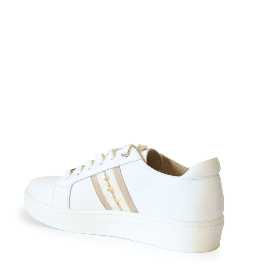 Caine Trainer