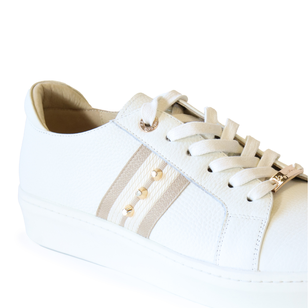 Caine Trainer