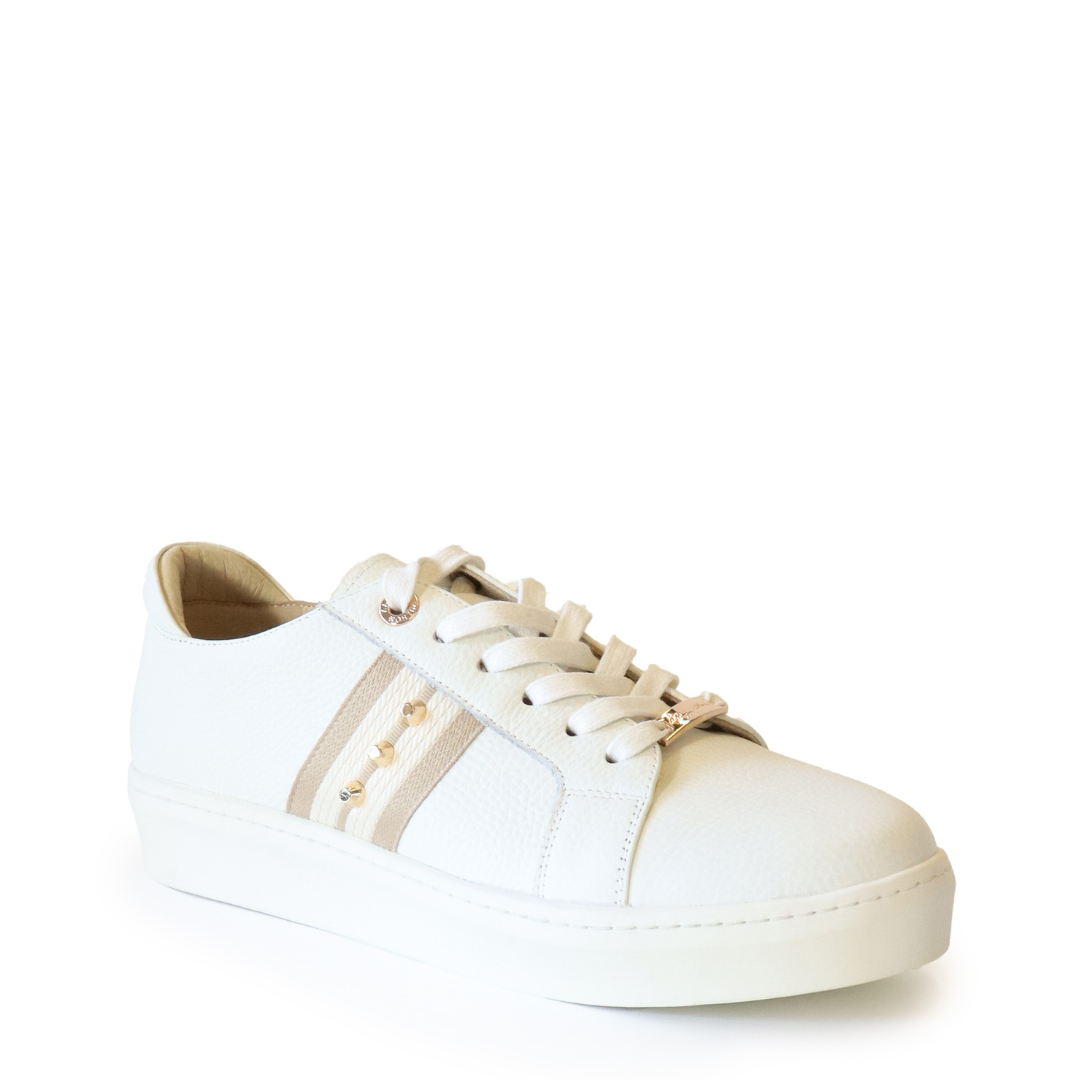 Caine Trainer