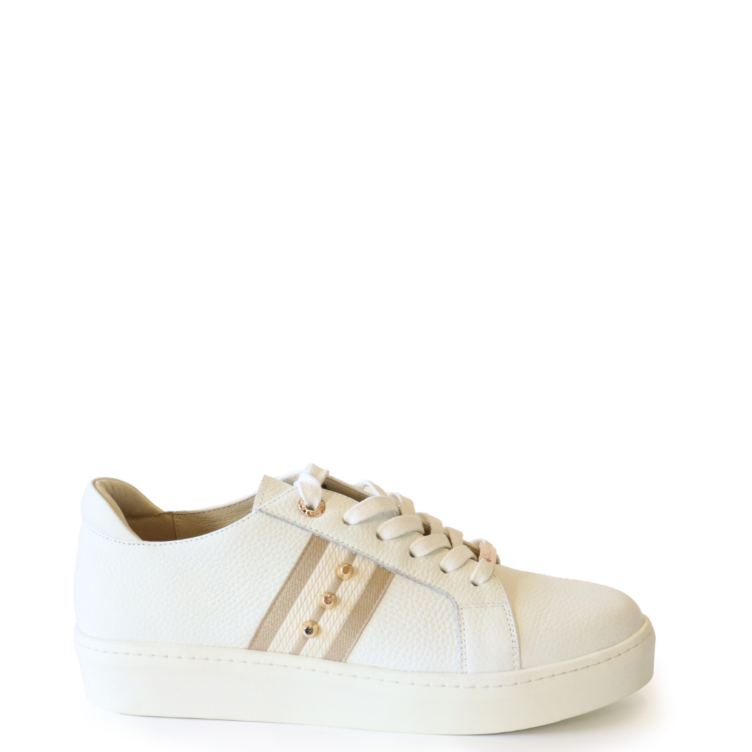Caine Trainer