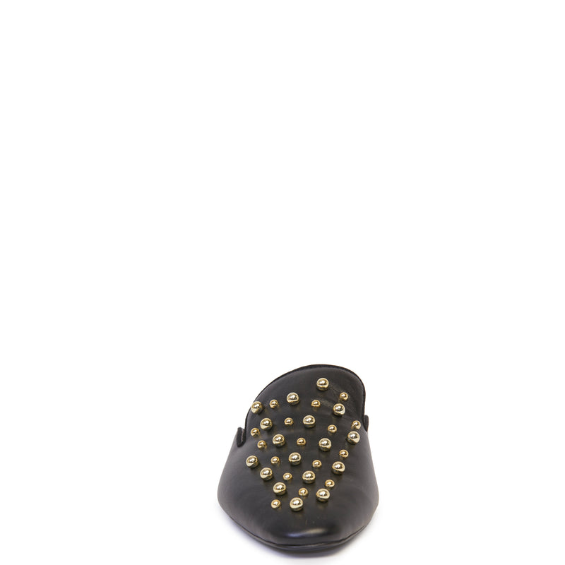 Asha Mule